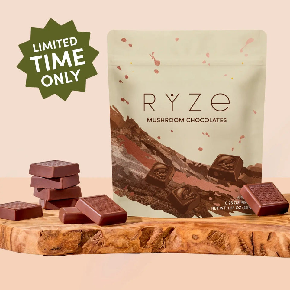 Mushroom Chocolates Rye (15 pieces) - Simple Mushroom Choice